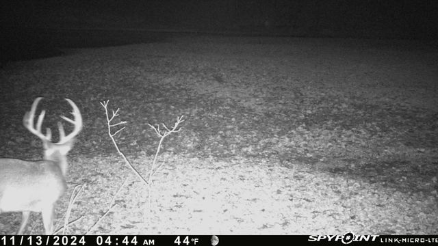 54901 E 355 Road, Jay, OK 74346