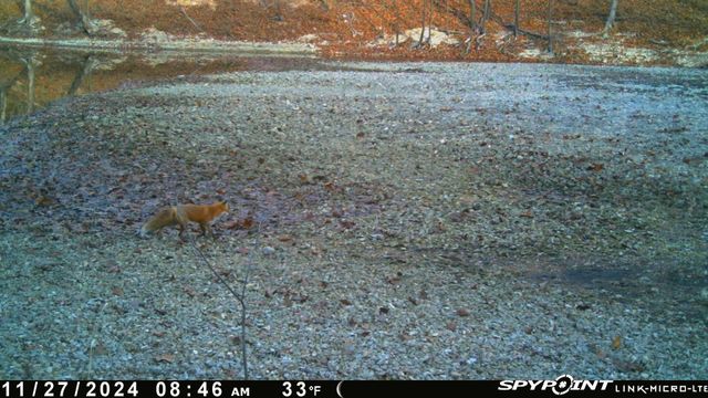 54901 E 355 Road, Jay, OK 74346