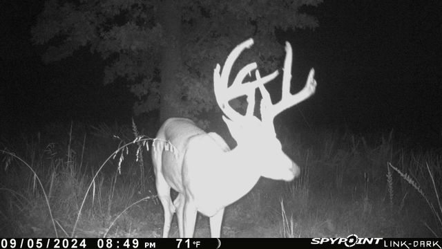 54901 E 355 Road, Jay, OK 74346