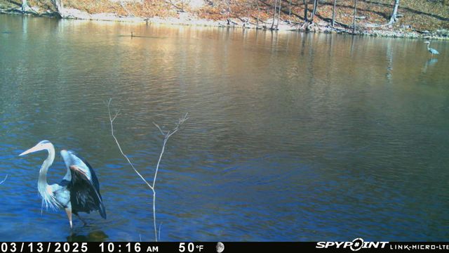 54901 E 355 Road, Jay, OK 74346