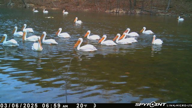 54901 E 355 Road, Jay, OK 74346