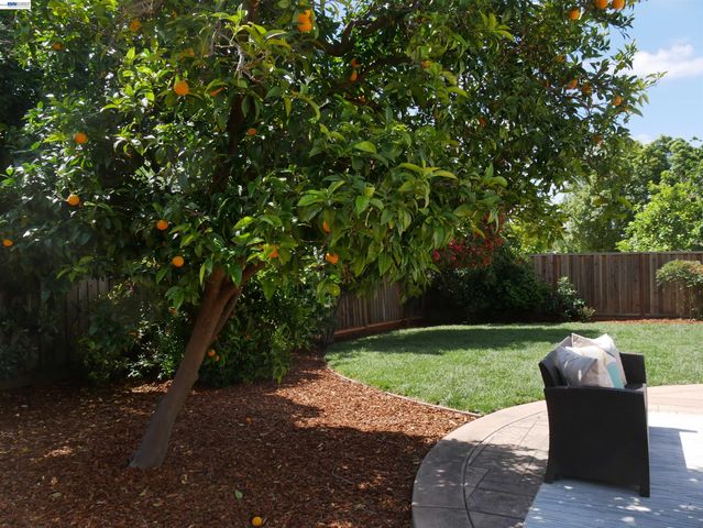 249 Imperio Avenue, Fremont, CA 94539