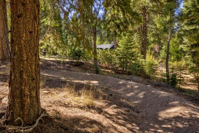 10534 Actinolite Way, Truckee, CA 96161