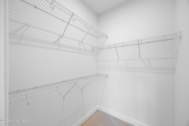 4008 Smoked Maple Drive 62, Leland, NC 28451