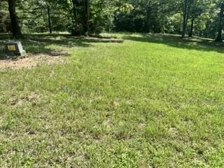 lot 2 Pondview Lane, Hayesville, NC 28904