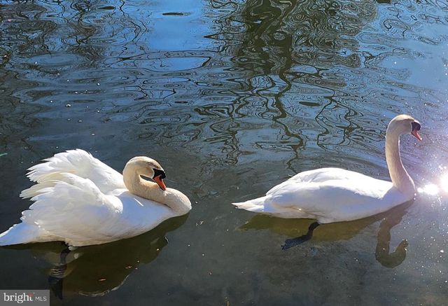 112 CONFEDERATE CIR, Locust Grove, VA 22508