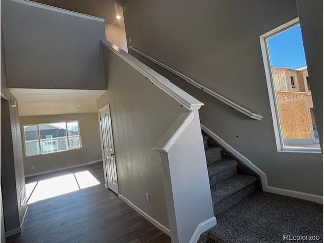 1734 Windler St, Brighton, CO 80601