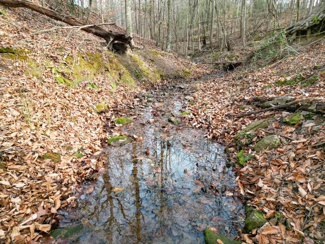 0 Glendale Street, Spartanburg, SC 29307