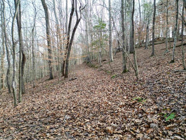 0 Glendale Street, Spartanburg, SC 29307