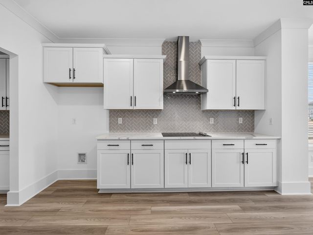 313 Murray Falls Lane, Chapin, SC 29036