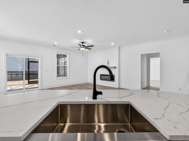 313 Murray Falls Lane, Chapin, SC 29036