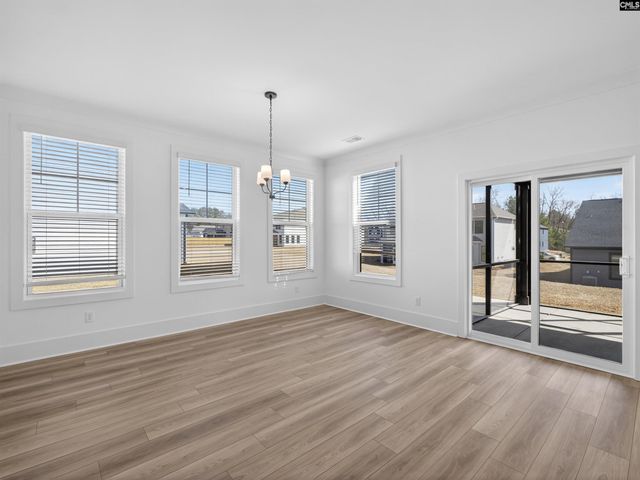 313 Murray Falls Lane, Chapin, SC 29036