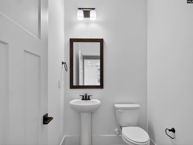 313 Murray Falls Lane, Chapin, SC 29036