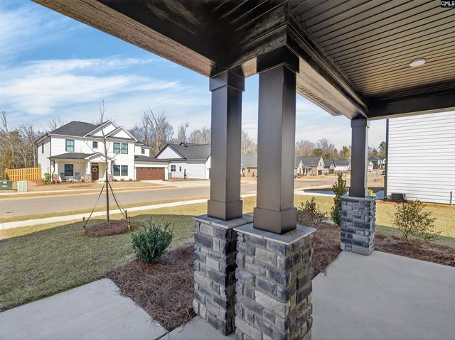 313 Murray Falls Lane, Chapin, SC 29036