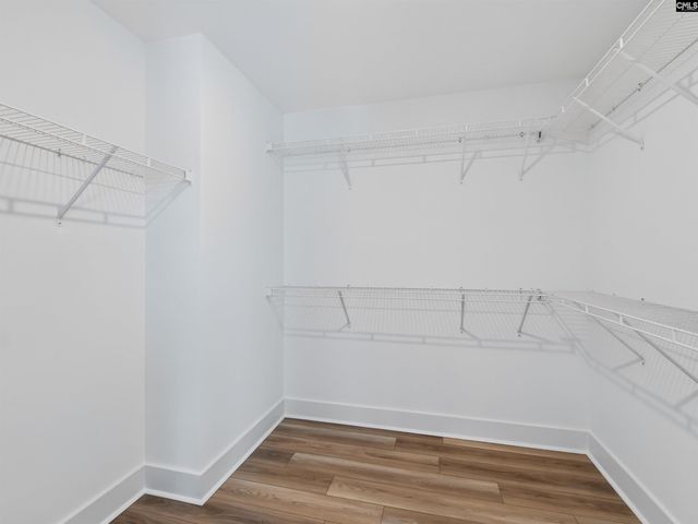 313 Murray Falls Lane, Chapin, SC 29036