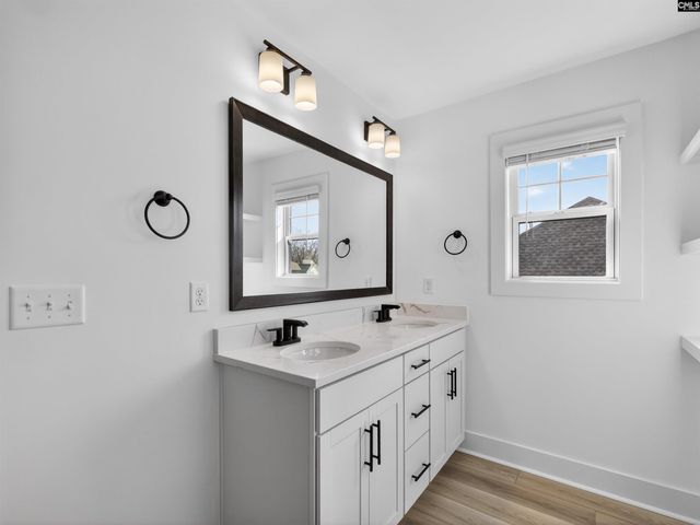 313 Murray Falls Lane, Chapin, SC 29036