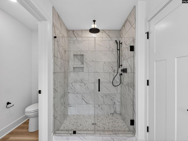 313 Murray Falls Lane, Chapin, SC 29036