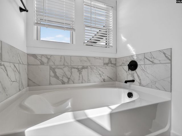 313 Murray Falls Lane, Chapin, SC 29036