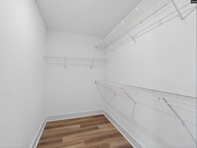 313 Murray Falls Lane, Chapin, SC 29036