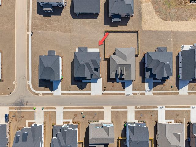 313 Murray Falls Lane, Chapin, SC 29036