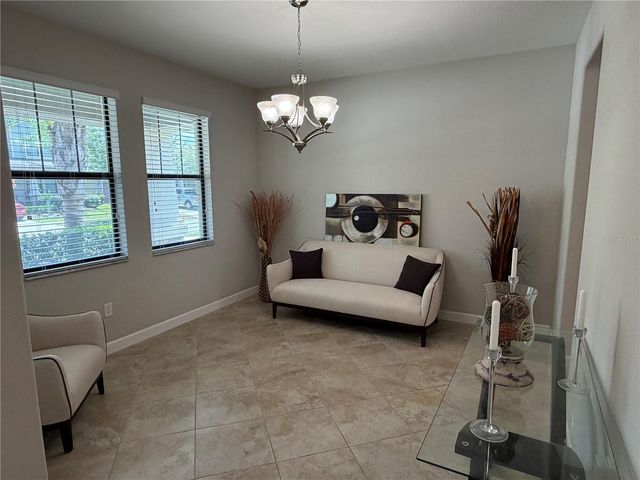 13905 ROSEATE TERN LANE, Riverview, FL 33579