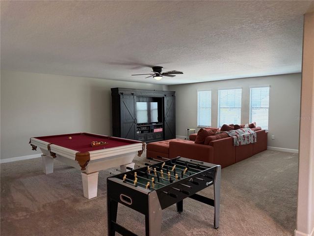 13905 ROSEATE TERN LANE, Riverview, FL 33579