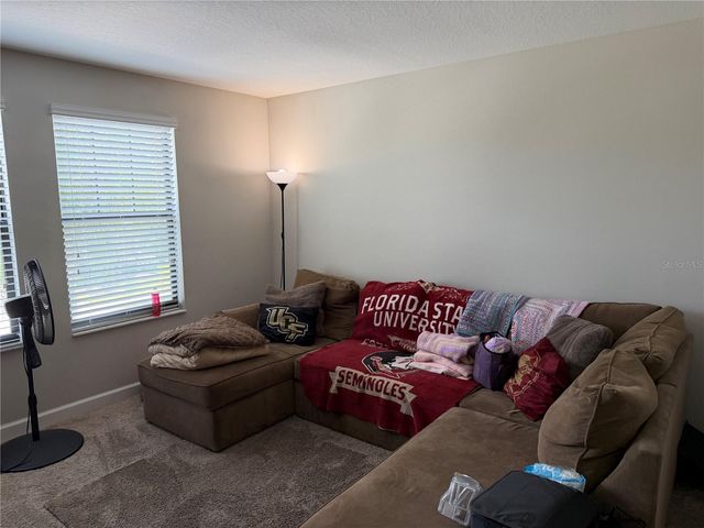 13905 ROSEATE TERN LANE, Riverview, FL 33579