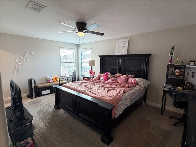 13905 ROSEATE TERN LANE, Riverview, FL 33579