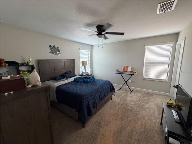 13905 ROSEATE TERN LANE, Riverview, FL 33579