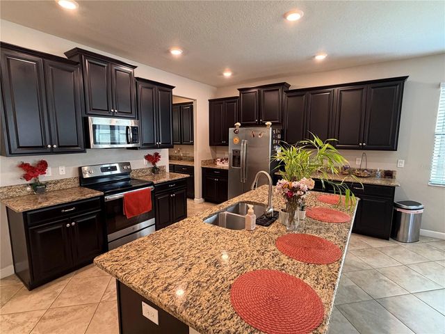 13905 ROSEATE TERN LANE, Riverview, FL 33579