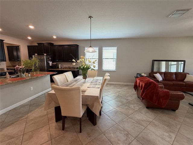 13905 ROSEATE TERN LANE, Riverview, FL 33579