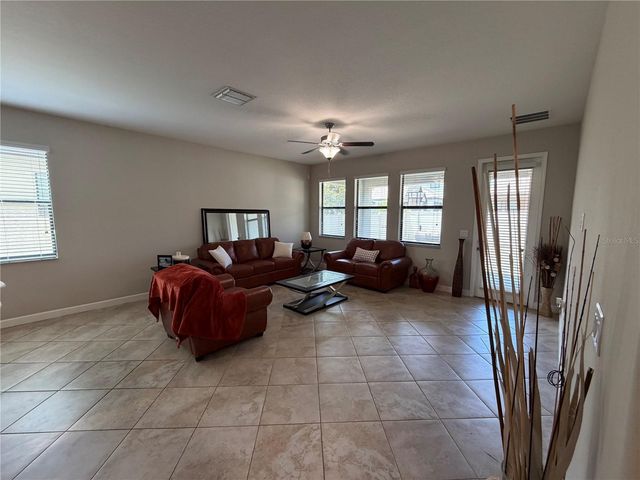 13905 ROSEATE TERN LANE, Riverview, FL 33579