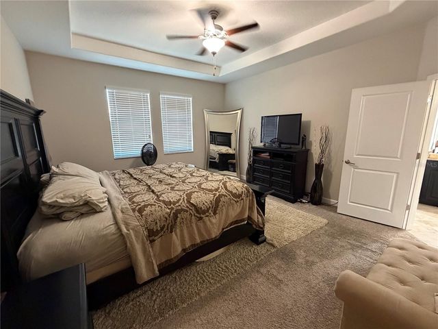 13905 ROSEATE TERN LANE, Riverview, FL 33579