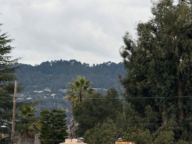 4409 Brookdale Avenue, Oakland, CA 94619