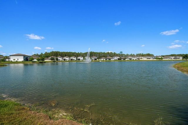 20591 MONZA LOOP, Land O Lakes, FL 34638