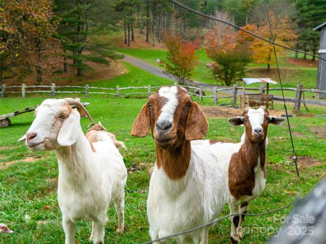 342 Big Rock Creek Drive, Bakersville, NC 28705