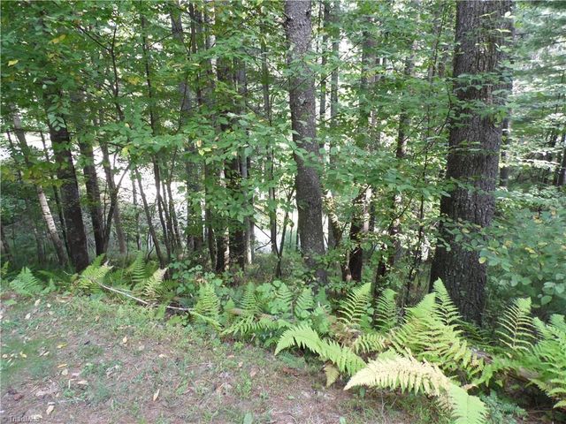 TBD Woodlands Drive, Piney Creek, NC 28663