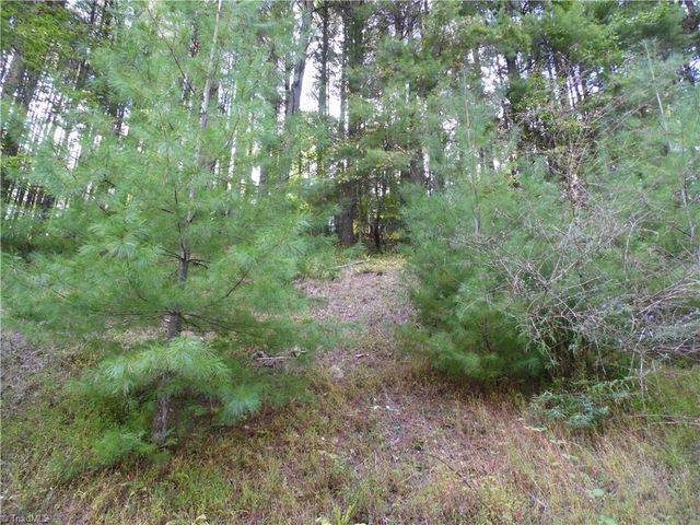 TBD Woodlands Drive, Piney Creek, NC 28663