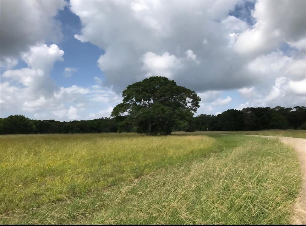 1007 Chuckwagon Trail, Angleton, TX 77515