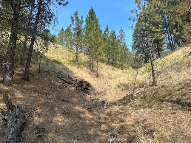 5699 C Hwy 231 Hwy, Ford, WA 99013