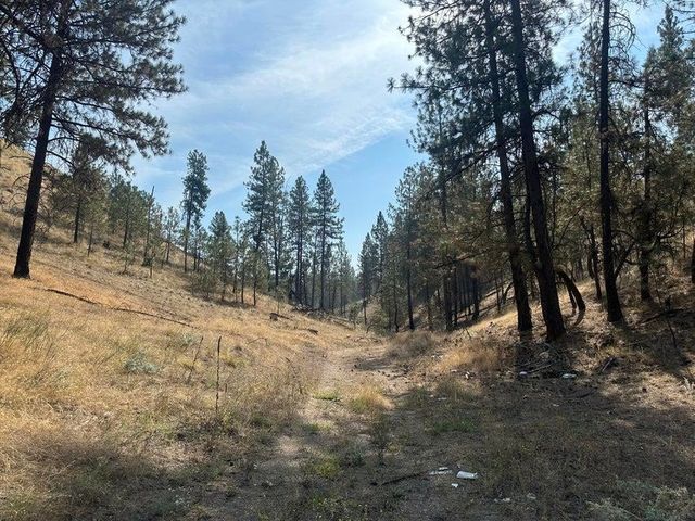 5699 C Hwy 231 Hwy, Ford, WA 99013