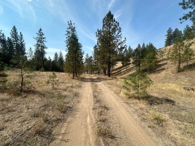 5699 C Hwy 231 Hwy, Ford, WA 99013