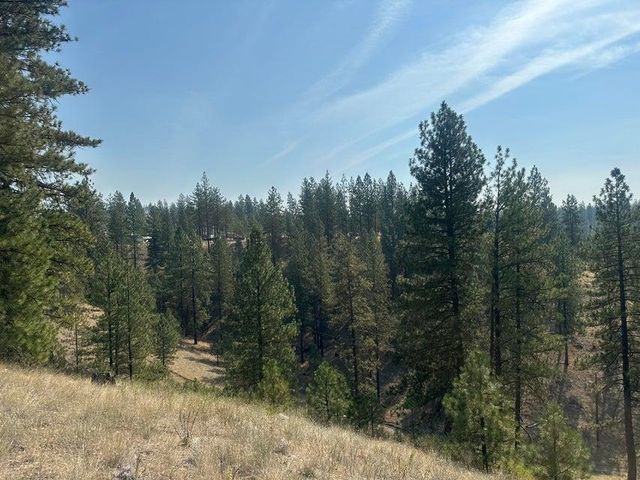 5699 C Hwy 231 Hwy, Ford, WA 99013