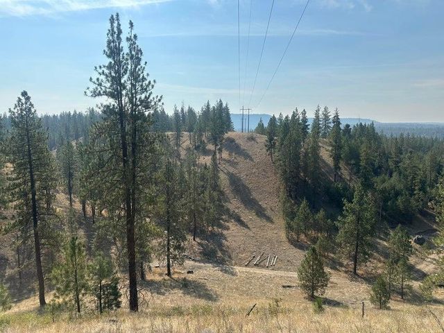 5699 C Hwy 231 Hwy, Ford, WA 99013