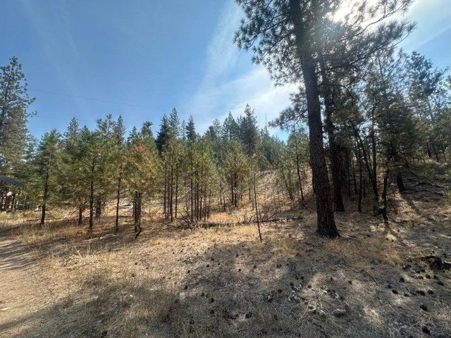 5699 C Hwy 231 Hwy, Ford, WA 99013