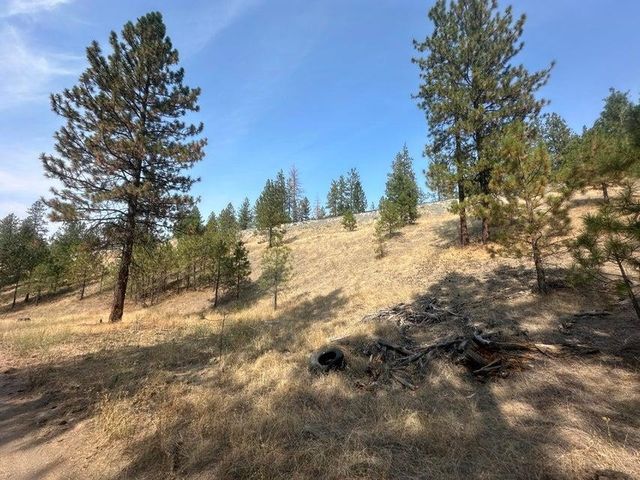 5699 C Hwy 231 Hwy, Ford, WA 99013