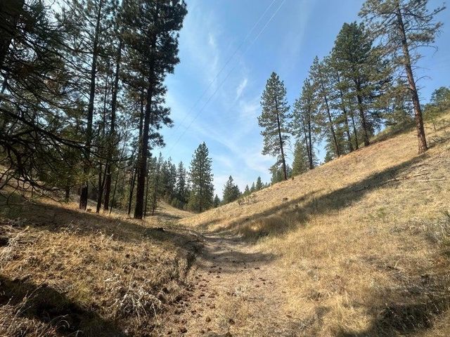 5699 C Hwy 231 Hwy, Ford, WA 99013