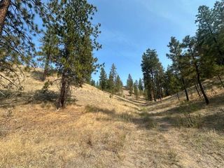 5699 C Hwy 231 Hwy, Ford, WA 99013