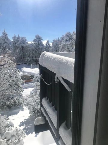 24875 Marion Ridge Drive, Idyllwild, CA 92549