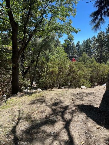 24875 Marion Ridge Drive, Idyllwild, CA 92549